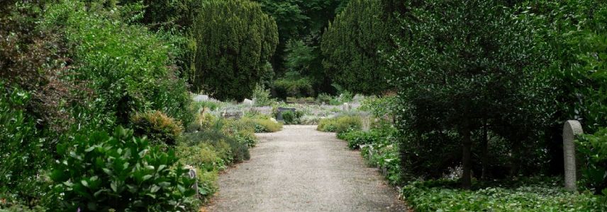 Kasteel zeist omgeving